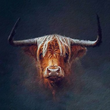 buffalo schilderij