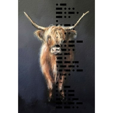 Highland Cow schilderij