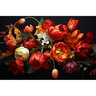 Tulpen Collectie