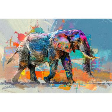 Olifant in mix kleur